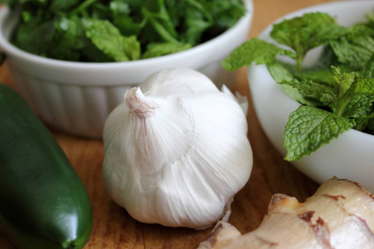 garlic, ginger, mint ingredients for chutney