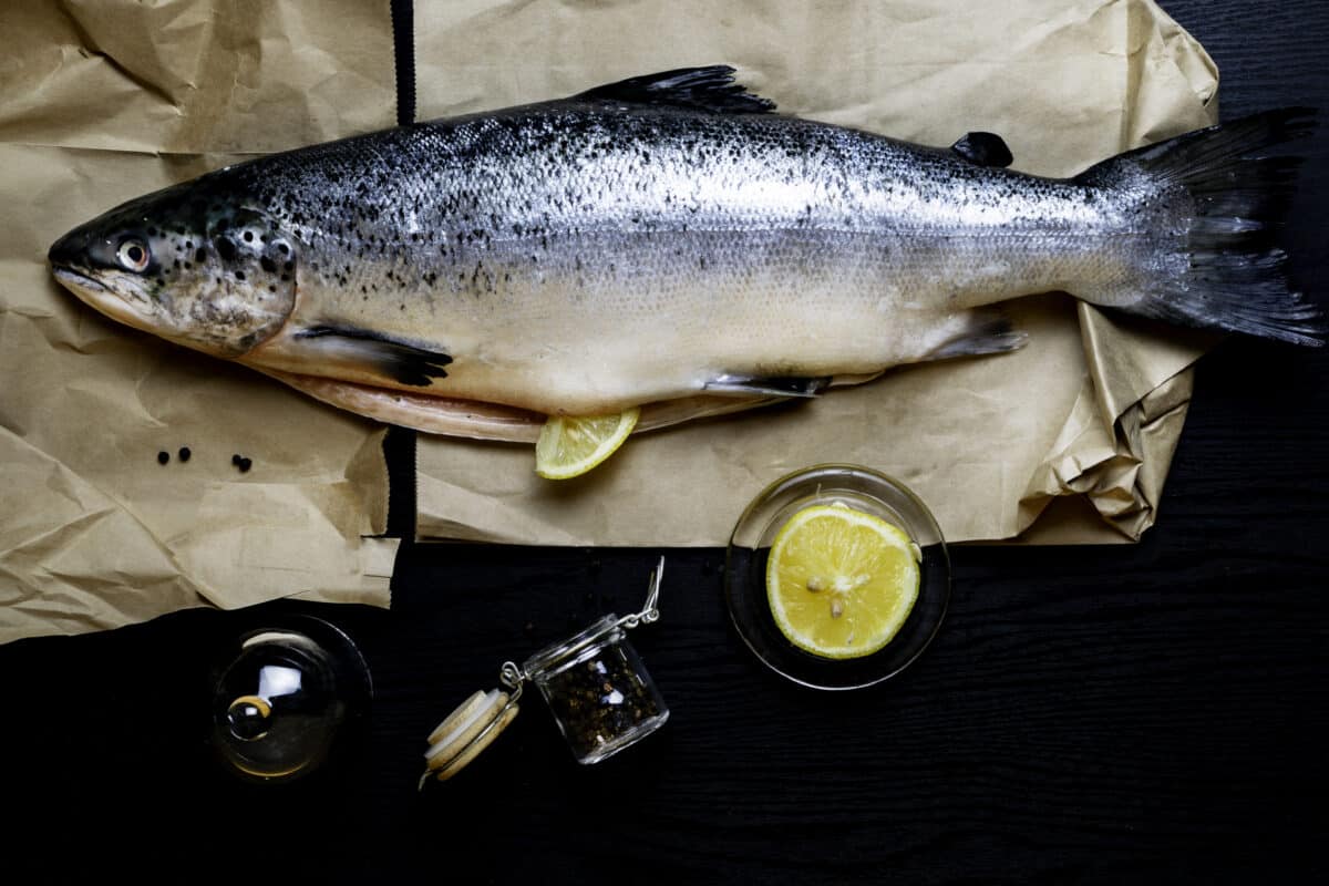 whole salmon on a plank