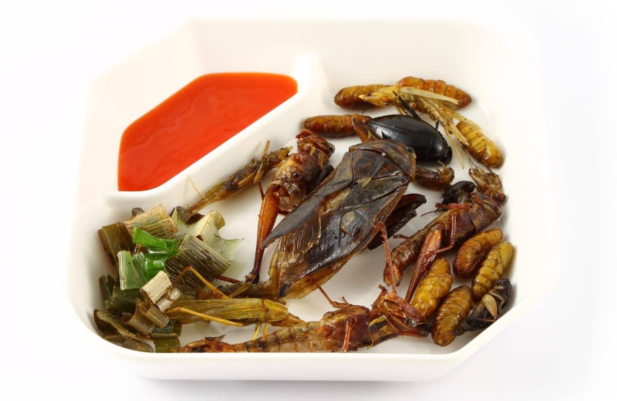 A plate of spicy herb fried insect wings with sauce.