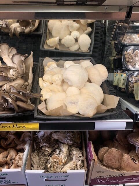 A display of various mushroom types.