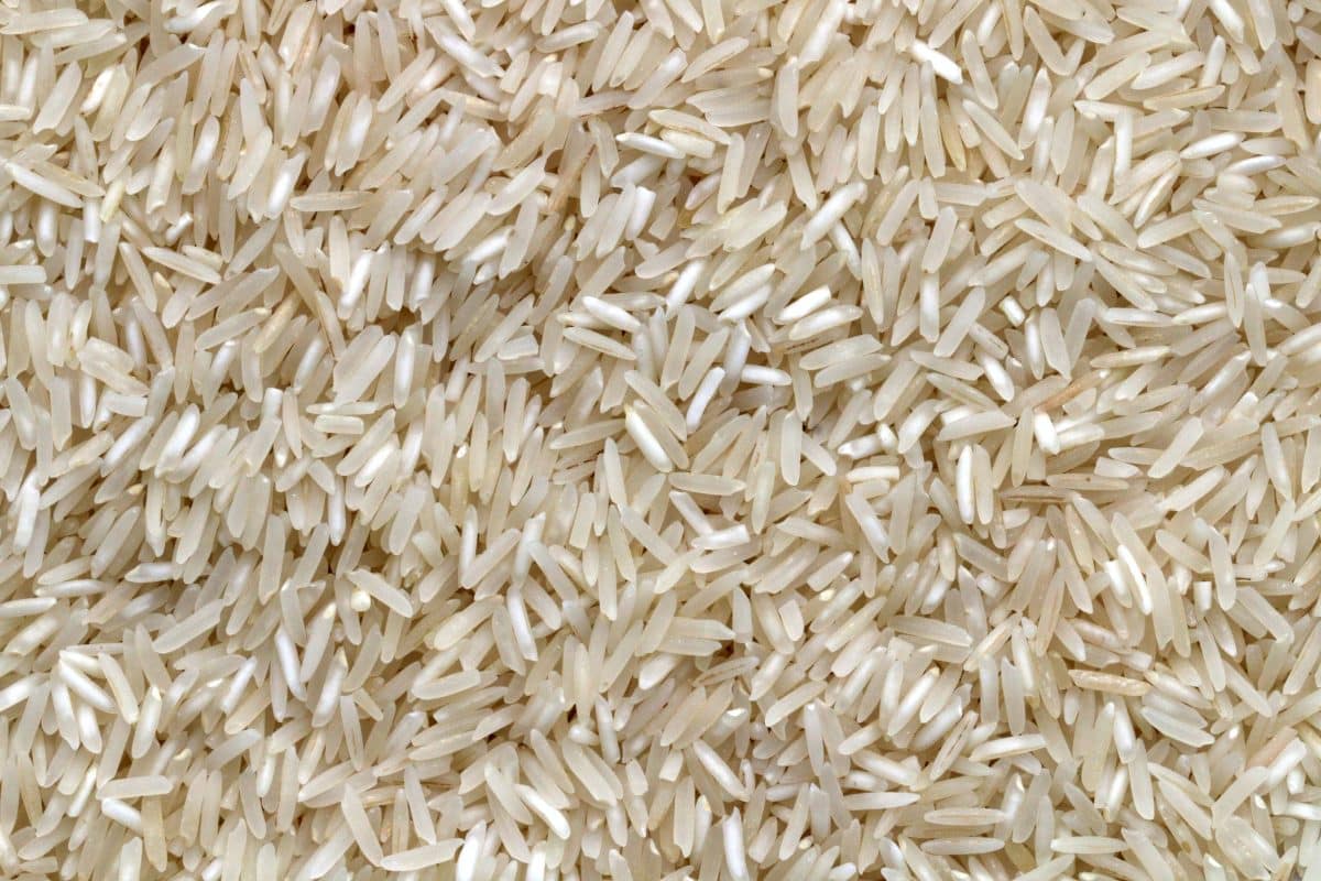 Close-up view of white long-grain rice.