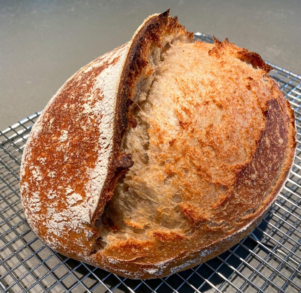 Crusty sprouted whole grain sourdough bread with a deep golden brown crust.