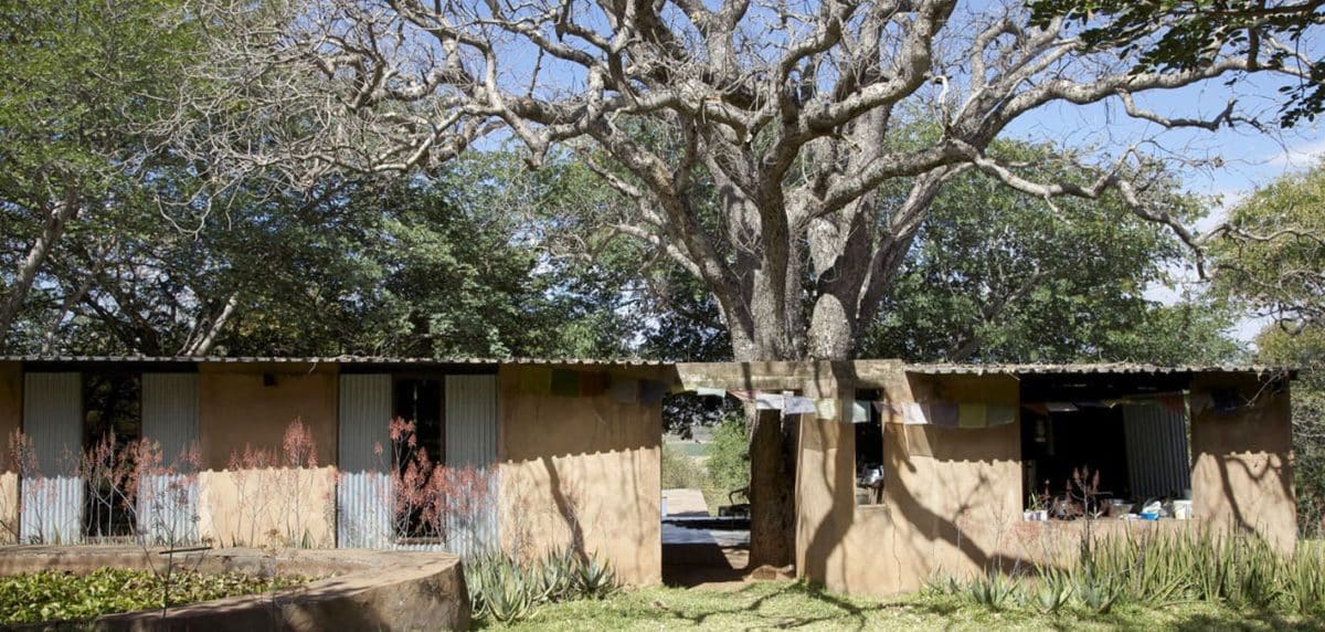 A sprawling tree in front of a rustic home, Photo credit: Annabel Hughes