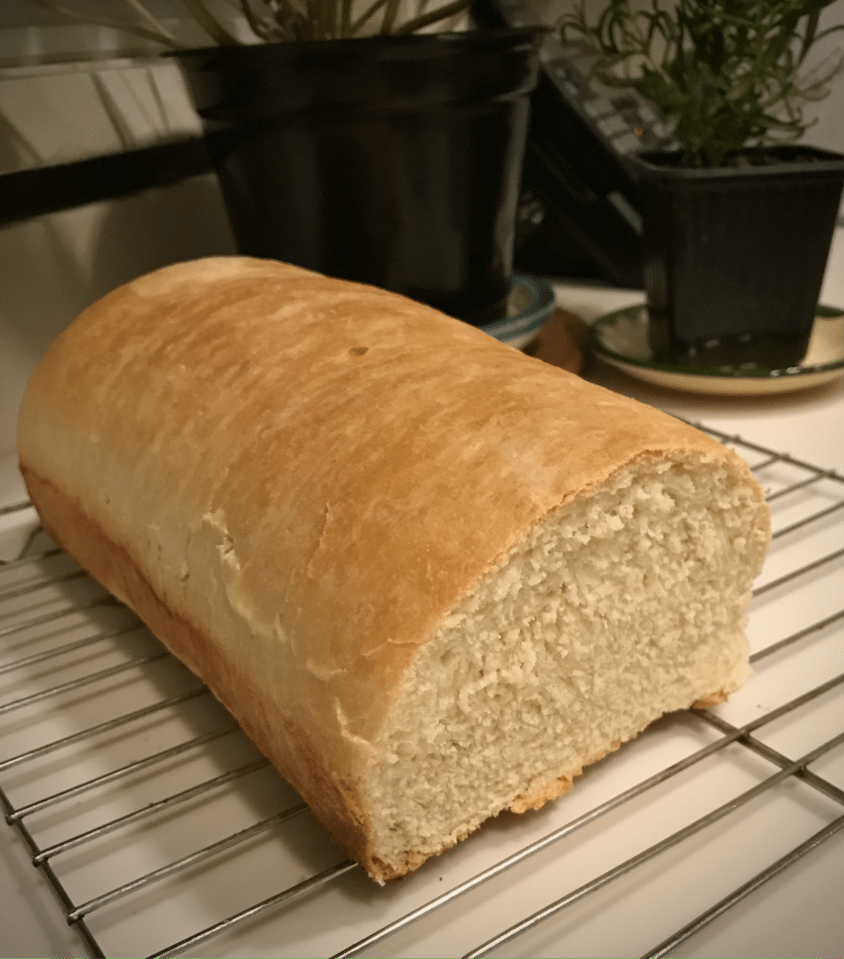 loaf of sandwich bread