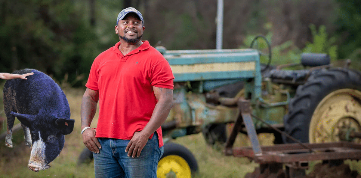 Man in red shirt standing beside a pig and a tractor.