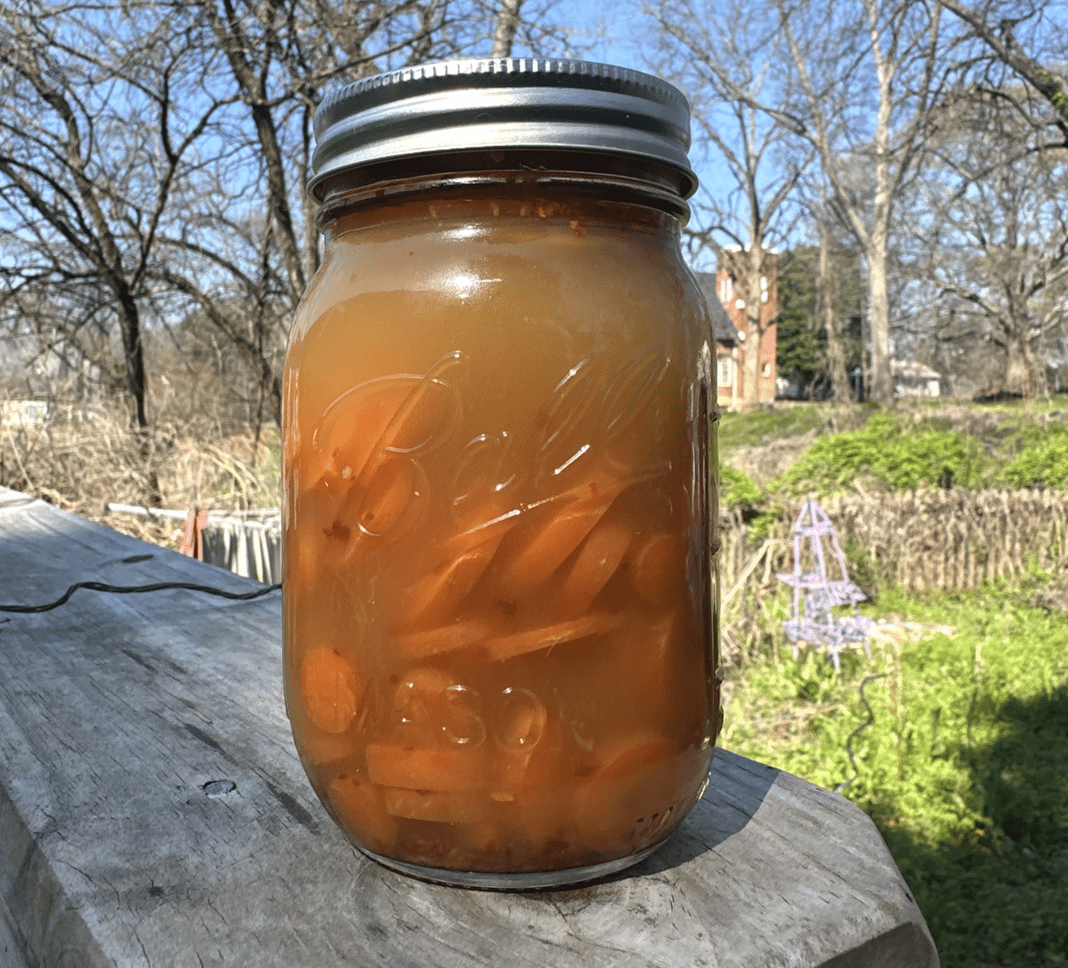 Quick-carrot-pickles