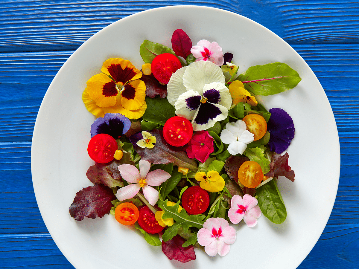 Edible flowers on a white plate on blue table